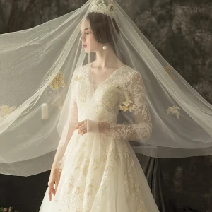 Illusion Ivory Pierced Wedding Dresses 2019 A Line Princess V Neck Long Sleeve Backless Appliques Lace Beading Chapel Train Ruffle