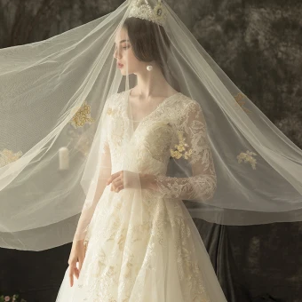 Illusion Ivoire Percé Robe De Mariée 2019 Princesse V Cou Manches Longues Dos Nu Appliques En Dentelle Perlage Chapel Train Volants