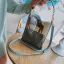 Transparent Handbag Messenger Bag Shoulder Bags 2021 PVC Women's Bags