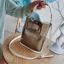 Transparent Handbag Messenger Bag Shoulder Bags 2021 PVC Women's Bags