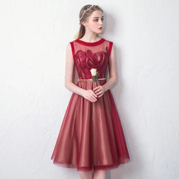 Moderne Mode Rouge Transparentes De Retour Robe De Graduation 2019 Princesse Encolure Dégagée Sans Manches Appliques En Dentelle Paillettes Métal Ceinture Mi Longues Volants Robe De Ceremonie