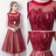 Modern / Fashion Red See-through Homecoming Graduation Dresses 2019 A-Line / Princess Scoop Neck Sleeveless Appliques Lace Sequins Metal Sash Knee-Length Ruffle Formal Dresses