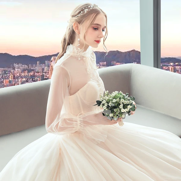 Vintage / Originale Champagne Transparentes Robe De Mariée 2019 Princesse Col Haut Gonflée Manches Longues Perle Perlage Chapel Train Volants