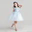 Chic / Beautiful Sky Blue Flower Girl Dresses 2017 Ball Gown V-Neck Sleeveless Appliques Flower Lace Short Ruffle Wedding Party Dresses