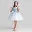 Chic / Beautiful Sky Blue Flower Girl Dresses 2017 Ball Gown V-Neck Sleeveless Appliques Flower Lace Short Ruffle Wedding Party Dresses