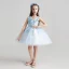 Chic / Beautiful Sky Blue Flower Girl Dresses 2017 Ball Gown V-Neck Sleeveless Appliques Flower Lace Short Ruffle Wedding Party Dresses