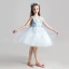 Chic / Beautiful Sky Blue Flower Girl Dresses 2017 Ball Gown V-Neck Sleeveless Appliques Flower Lace Short Ruffle Wedding Party Dresses