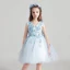 Chic / Beautiful Sky Blue Flower Girl Dresses 2017 Ball Gown V-Neck Sleeveless Appliques Flower Lace Short Ruffle Wedding Party Dresses