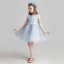 Chic / Beautiful Sky Blue Flower Girl Dresses 2017 Ball Gown Scoop Neck Sleeveless Appliques Lace Flower Short Ruffle Wedding Party Dresses