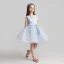 Chic / Beautiful Sky Blue Flower Girl Dresses 2017 Ball Gown Scoop Neck Sleeveless Appliques Lace Flower Short Ruffle Wedding Party Dresses