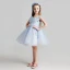 Chic / Beautiful Sky Blue Flower Girl Dresses 2017 Ball Gown Scoop Neck Sleeveless Appliques Lace Flower Short Ruffle Wedding Party Dresses