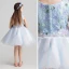 Chic / Beautiful Sky Blue Flower Girl Dresses 2017 Ball Gown Scoop Neck Sleeveless Appliques Lace Flower Short Ruffle Wedding Party Dresses