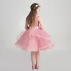Chic / Beautiful Candy Pink Flower Girl Dresses 2017 Ball Gown V-Neck Sleeveless Appliques Flower Pearl Sash Knee-Length Cascading Ruffles Wedding Party Dresses