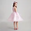 Schöne Rosa Mädchenkleider 2017 Ballkleid V-Ausschnitt Ärmellos Mit Spitze Applikationen Blumen Perle Strass Knielang Fallende Rüsche Kleider Für Hochzeit
