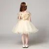 Piękne Szampan Sukienki Dla Dziewczynek 2017 Suknia Balowa V-Szyja Bez Rękawów Aplikacje Kwiat Rhinestone Druk Krótkie Wzburzyć Sukienki Na Wesele