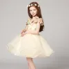 Piękne Szampan Sukienki Dla Dziewczynek 2017 Suknia Balowa V-Szyja Bez Rękawów Aplikacje Kwiat Rhinestone Druk Krótkie Wzburzyć Sukienki Na Wesele