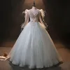 Audrey Hepburn Style Feather Winter Long Sleeve Prom Dresses 2024 Grey Ball Gown Crossed Straps Formal Dresses