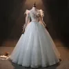 Audrey Hepburn Style Feather Winter Long Sleeve Prom Dresses 2024 Grey Ball Gown Crossed Straps Formal Dresses