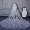 Chic / Beautiful White Wedding 2017 Tulle 3.5 m Appliques Wedding Veils