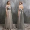 Chic / Beautiful Grey Evening Dresses  2017 A-Line / Princess Zipper Up Strapless Lace Striped Butterfly Evening Party Formal Dresses