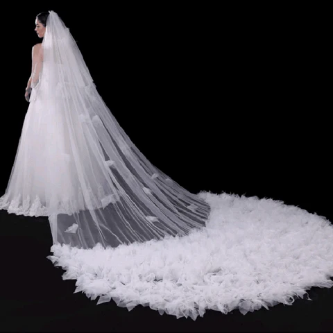 Chic / Beautiful White Wedding 2017 Tulle Embroidered Wedding Veils
