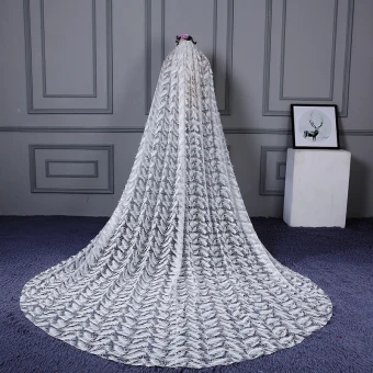Chic Beautiful White Cathedral Train Wedding Veils Tulle Appliques Feather Wedding 2018