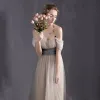 Chic / Beautiful Grey Evening Dresses  2017 A-Line / Princess Zipper Up Strapless Lace Striped Butterfly Evening Party Formal Dresses