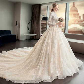 Illusion Champagne Pierced Wedding Dresses 2019 A Line Princess High Neck Long Sleeve Backless Appliques Lace Cathedral Train Ruffle