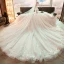Meilleur Ivoire Transparentes Robe De Mariée 2019 Princesse De l'épaule Manches Longues Dos Nu Appliques En Dentelle Cathedral Train Volants
