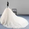 Illusion Champagne See-through Wedding Dresses 2019 A-Line / Princess Scoop Neck Sleeveless Appliques Lace Beading Pearl Chapel Train Ruffle