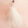 Chinese style Champagne See-through Wedding Dresses 2019 Ball Gown High Neck Long Sleeve Backless Appliques Lace Beading Chapel Train Ruffle