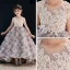 Flower Fairy Champagne Flower Girl Dresses 2019 Ball Gown Scoop Neck Sleeveless Appliques Flower Beading Pearl Sweep Train Ruffle Wedding Party Dresses