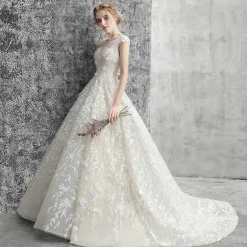 Moderne Mode Champagne Percé Robe De Mariée 2018 Robe Boule Encolure Dégagée Dos Nu Mancherons Appliques En Dentelle Perle Perlage Chapel Train