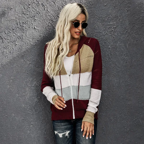 Fashion Fall Winter Burgundy Multi-Colors Stripe Street Wear Hooded Sweatshirts 2021 Long Sleeve Loose Women Tops