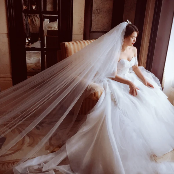 Unique Blanche Voile De Mariée 2017 Tulle 5m Étoile Appliques Mariage