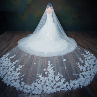 Chic Beautiful White 2017 Wedding Tulle Embroidered Wedding Veils