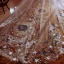 Unique Blanche Voile De Mariée 2017 Tulle 5m Étoile Appliques Mariage