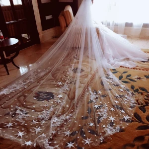 Amazing Unique White Wedding Veils 2017 Tulle 5m Star Appliques Wedding