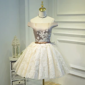 Chic Beautiful Champagne Graduation Dresses 2018 A Line Princess Tulle Appliques Backless Embroidered Homecoming Formal Dresses