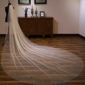 Scintillantes Bling Bling Champagne Voile De Mariée 2020 Tulle Glitter Paillettes Chapel Train Mariage Accessorize