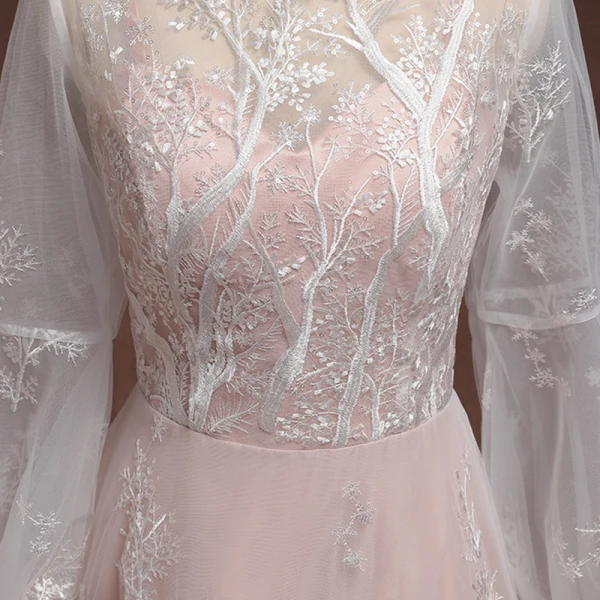 Classic Elegant Blushing Pink Plus Size Evening Dresses 2020 A-Line / Princess Floor-Length / Long Long Sleeve U-Neck Tulle 3D Lace Appliques Embroidered Evening Party Formal Dresses