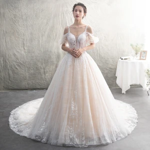 Illusion Champagne See Through Wedding Dresses 2019 A Line Princess Spaghetti Straps Short Sleeve Backless Appliques Lace Beading Cathedral Train Ruffle