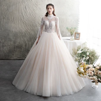 Illusion Champagne Transparentes Robe De Mariée 2019 Princesse Col Haut Manches Longues Dos Nu Appliques En Dentelle Perlage Longue Volants