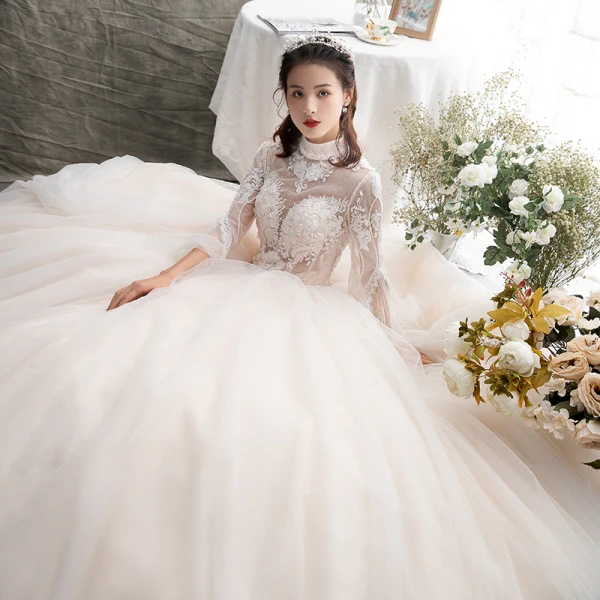 Illusion Champagner Durchsichtige Brautkleider / Hochzeitskleider 2019 A Linie Stehkragen Lange Ärmel Rückenfreies Applikationen Spitze Perlenstickerei Lange Rüschen