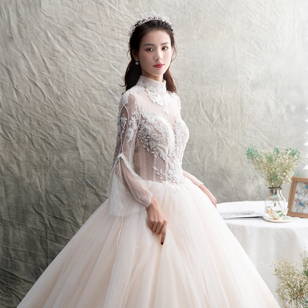 Illusion Champagner Durchsichtige Brautkleider / Hochzeitskleider 2019 A Linie Stehkragen Lange Ärmel Rückenfreies Applikationen Spitze Perlenstickerei Lange Rüschen