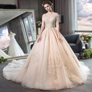Élégant Champagne Transparentes Robe De Mariée 2019 Princesse Encolure Dégagée Mancherons Dos Nu Appliques En Dentelle Perlage Cathedral Train Volants