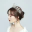 Chic / Beautiful Silver Tiara Earrings Bridal Jewelry 2019 Metal Crystal Rhinestone Bridal Hair Accessories