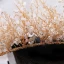 Luxe Doré Tiare 2019 Métal Cristal Perlage Accessoire Cheveux Mariage