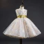 Best Champagne Flower Girl Dresses 2019 A-Line / Princess V-Neck Sleeveless Sash Appliques Lace Beading Knee-Length Ruffle Backless Wedding Party Dresses