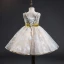 Best Champagne Flower Girl Dresses 2019 A-Line / Princess V-Neck Sleeveless Sash Appliques Lace Beading Knee-Length Ruffle Backless Wedding Party Dresses